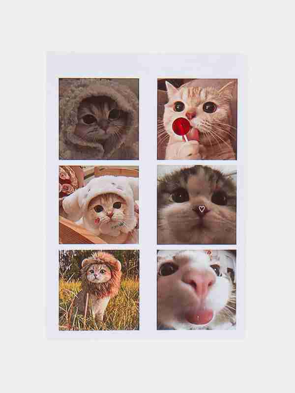 Seksi tochiki hazhdasola Qizlar uchun jinsiy erotik porno