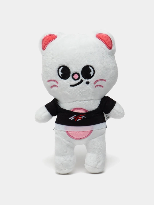 Yumshoq zamonaviy pelu stressga qarshi K-POP o'yinchoqlari SKZOO, Stray Kids