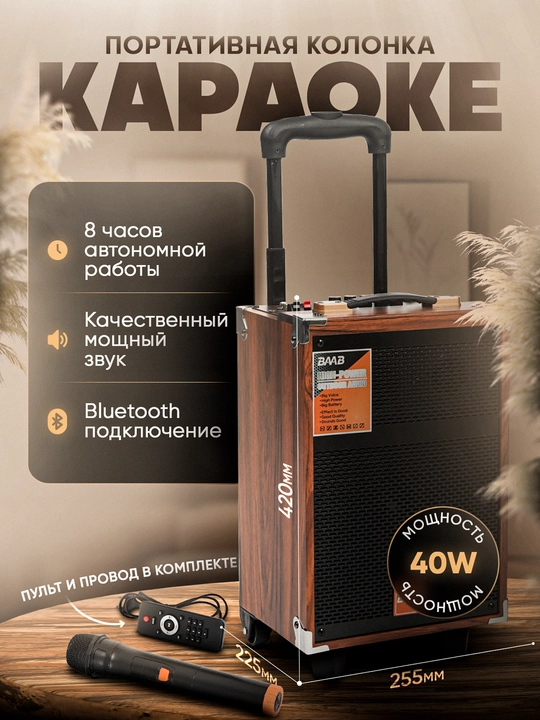 Колонка беспроводная портативная Bluetooth с микрофоном и пультом, караоке BAAB - 