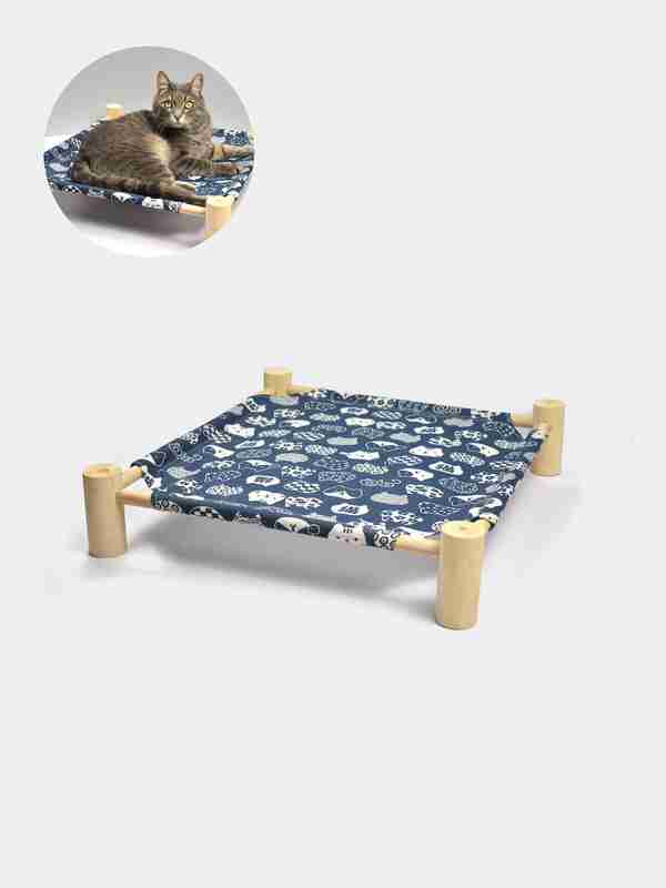 Yalangoch dumba chiroyli raqsga tushadi