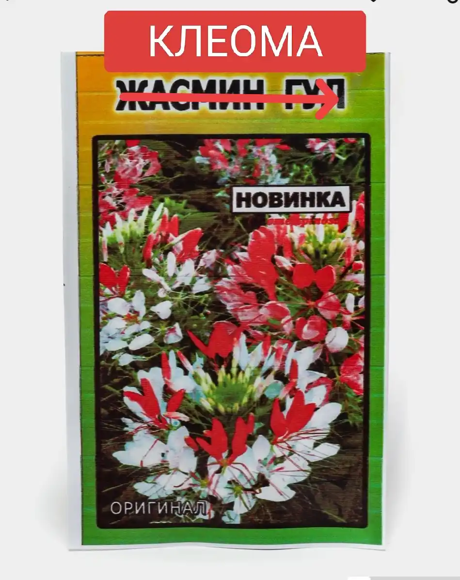 Семена цветов, Георгина, Гваздика, Беоргул, Жасмин, Урис гул, Красная стрела