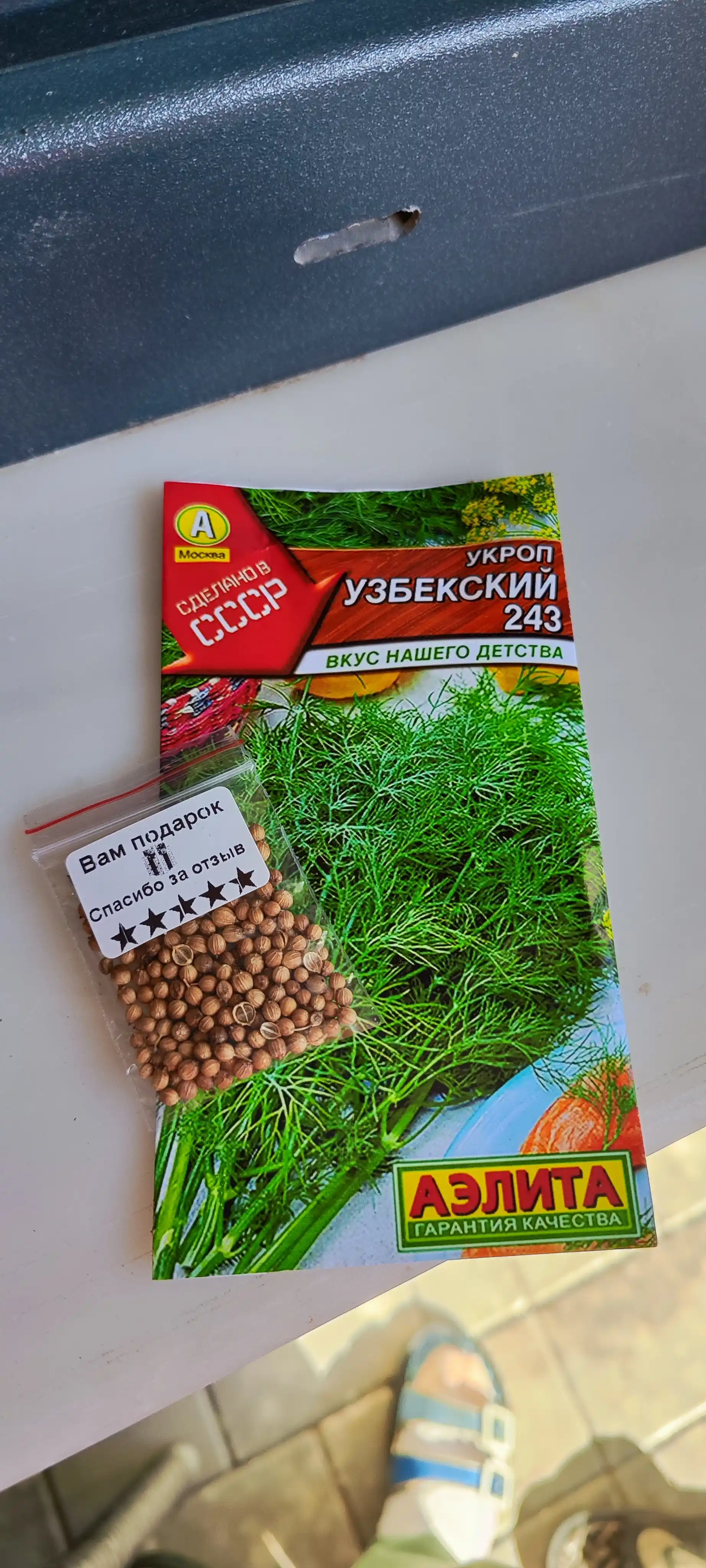 Семена зелени. Укроп. Семена укропа