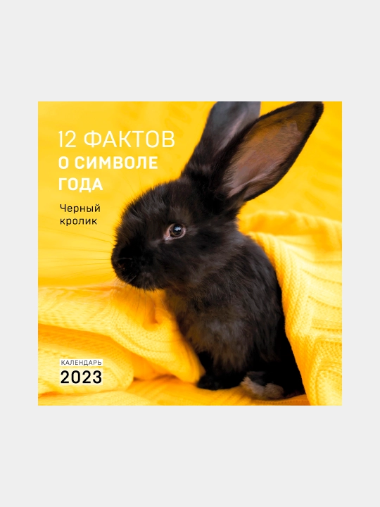 12 faktov o simvole goda. Chernyy krolik. Kalendar' nastennyy na 2023 god 300 * 300 mm - 
