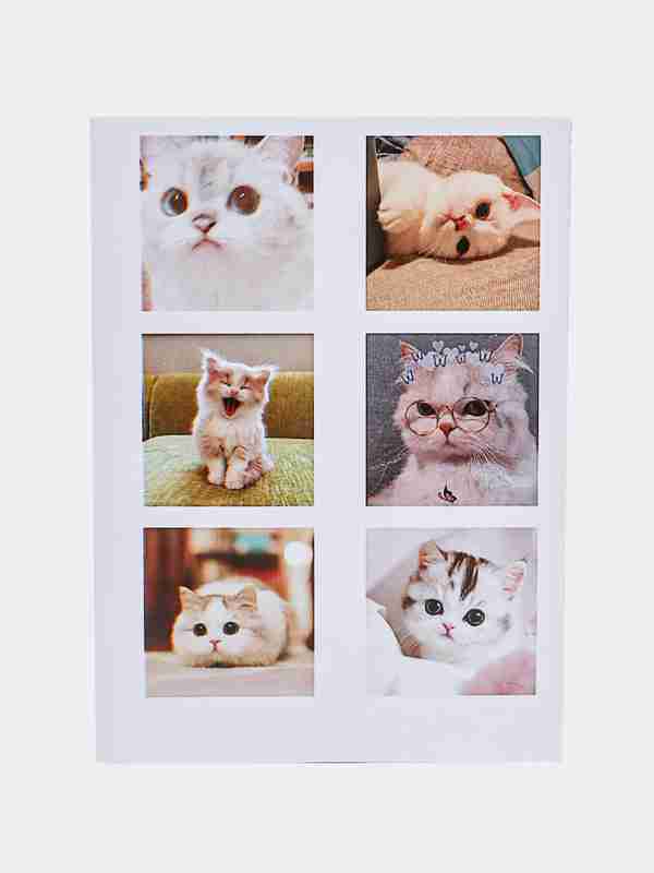 Mushuk narsalarni silkitadigan narsalar Mushuk narsalarni silkitadigan narsalar