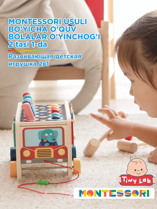 Развивающие детские игрушки по методике Монтессори, 2 в 1, стучалка, игрушка сортер