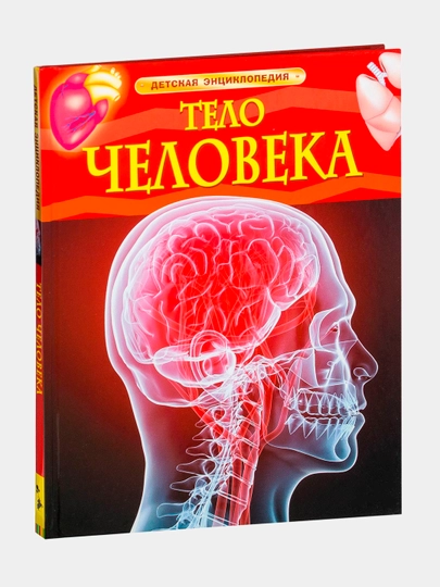 Тело человека, Миранда Смит — BAM-3058403