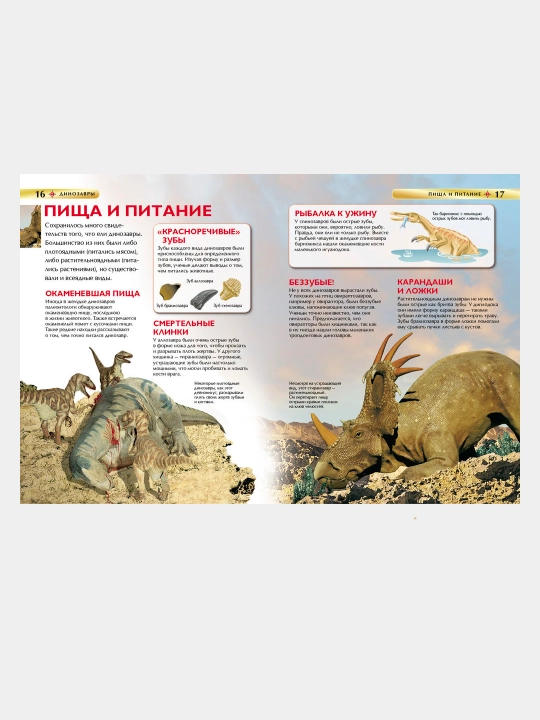 Dinozavri, Reychel Fert