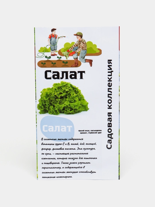 Семена зелени салата