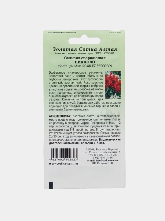 Gul urug'lari "Salvia sparkling", xilma-xilligi: piccolo