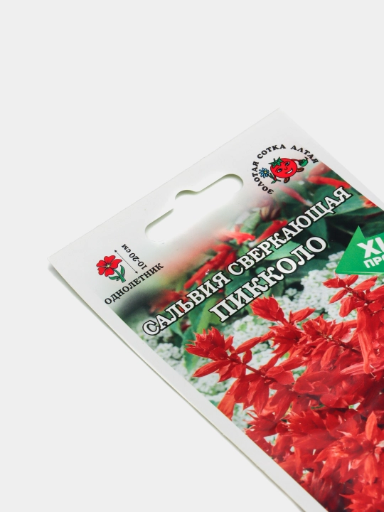 Gul urug'lari "Salvia sparkling", xilma-xilligi: piccolo