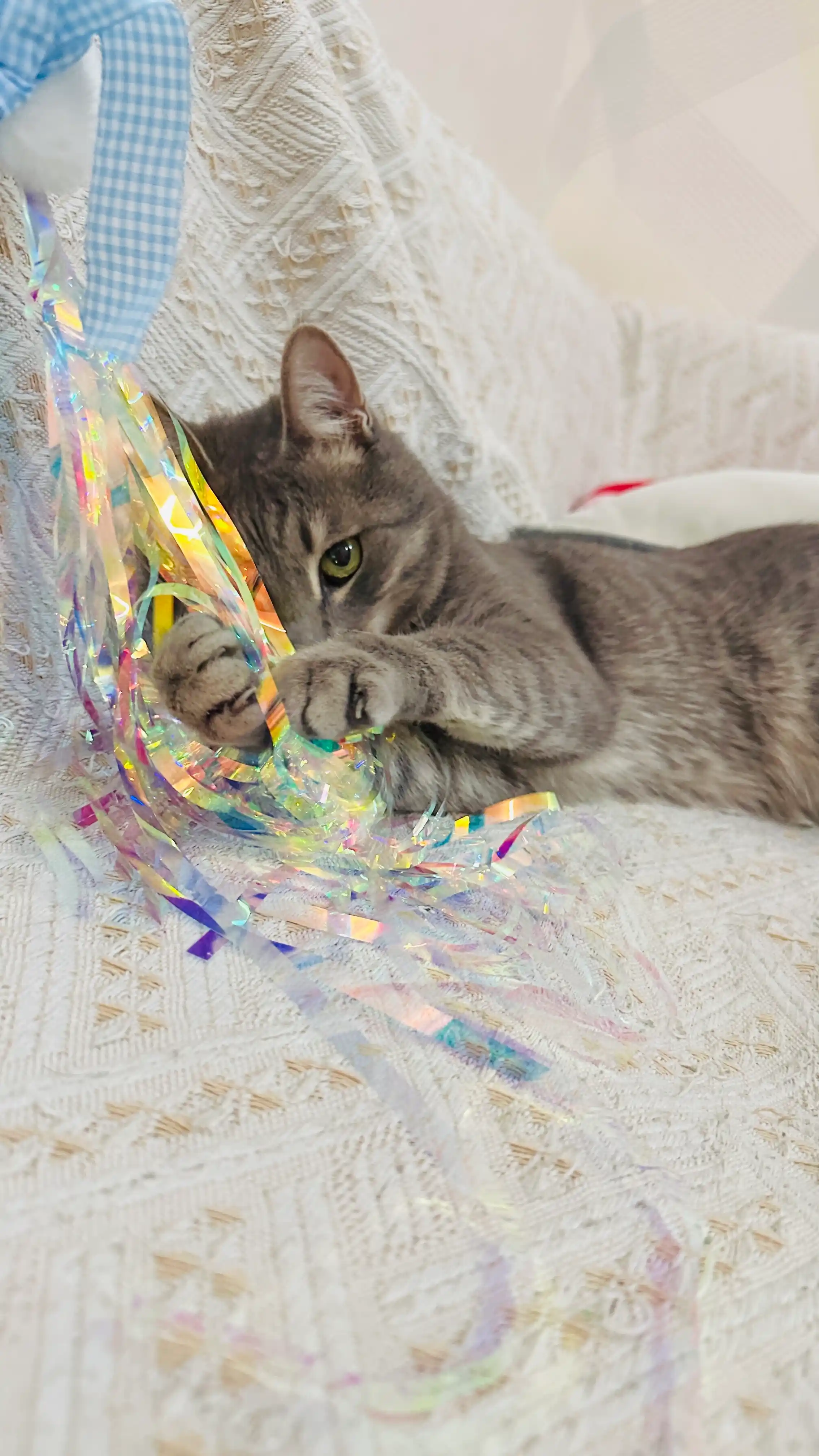 Игрушка для кошек, забавная кошачья палка, радужная лента с кисточкой