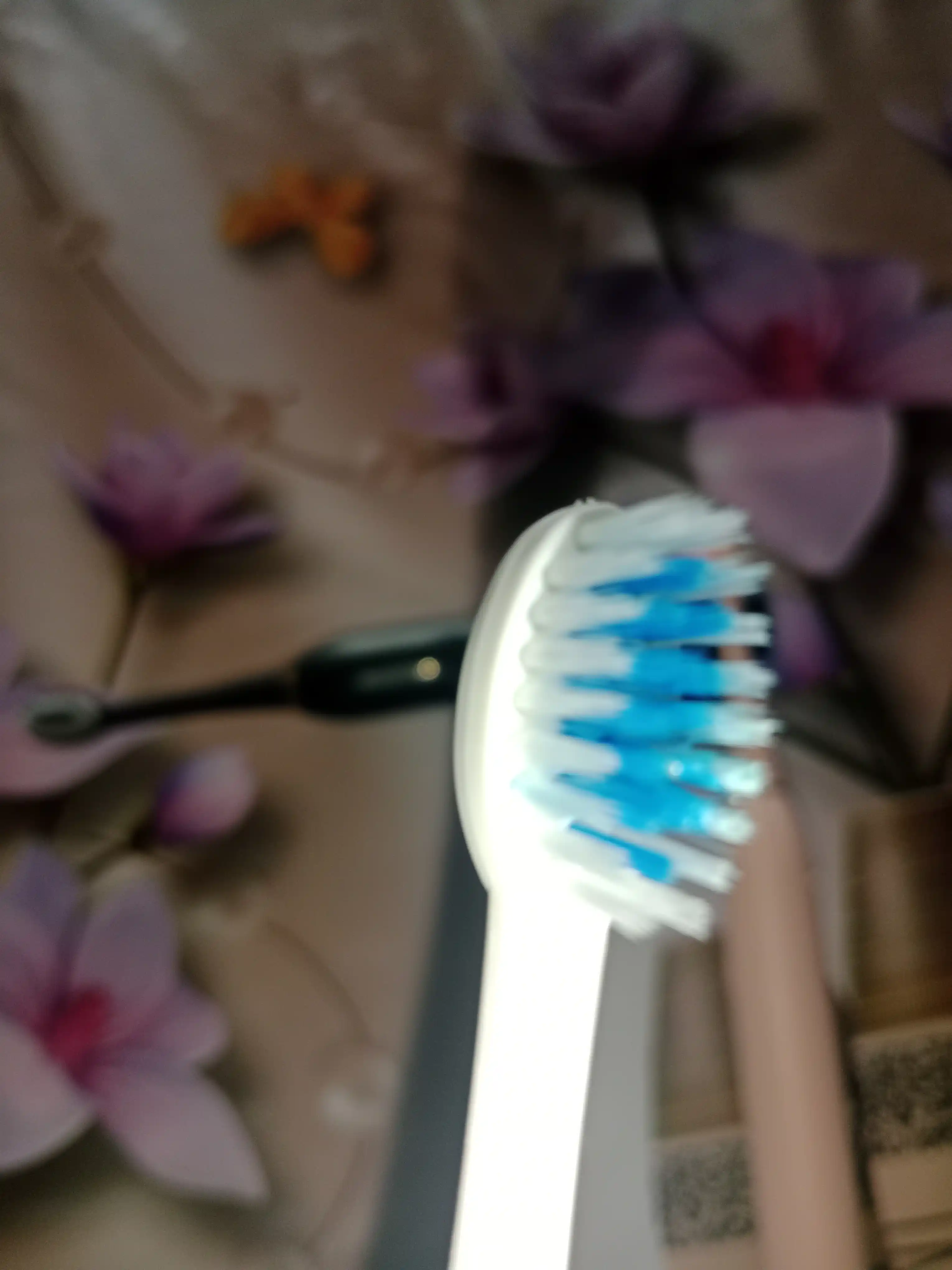 IPX7 elektr tish cho‘tkasi, 4 ta nasadka, 6 rejimli, taymer bilan, sovg‘a uchun juda qulay
