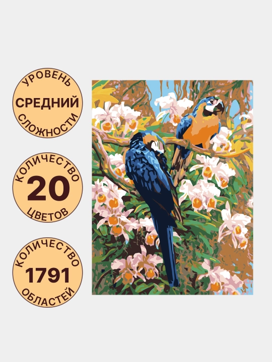 Raqamlar bo'yicha rasm chizish ARTERY Qushlar, holstda chizmachilik, 40 * 50 sm