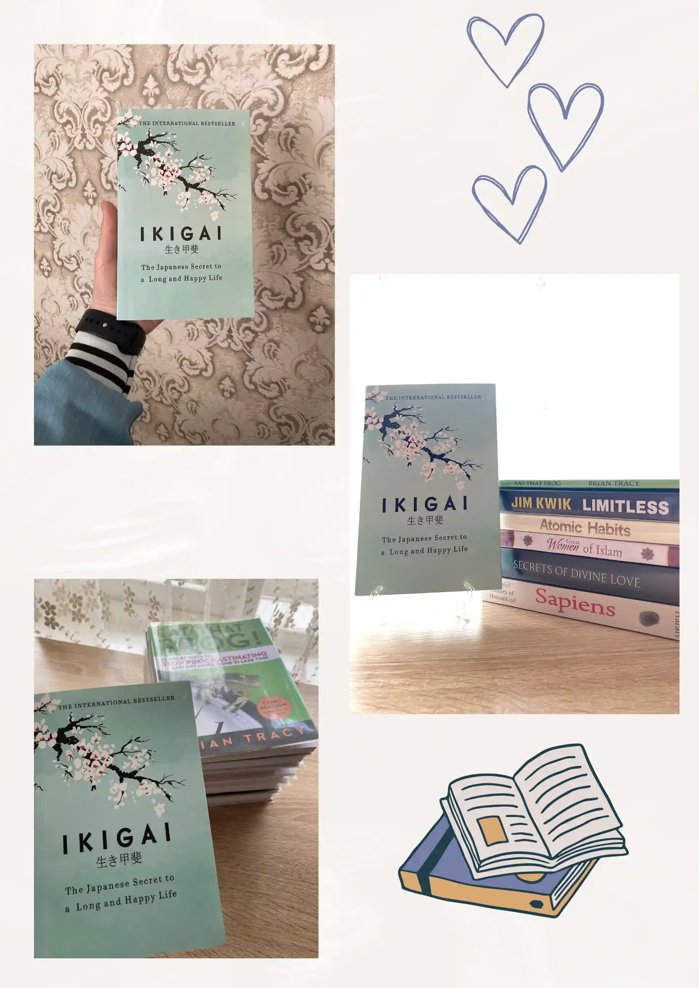 Ikigai - Hector Garcia and Francesc Miralles A5