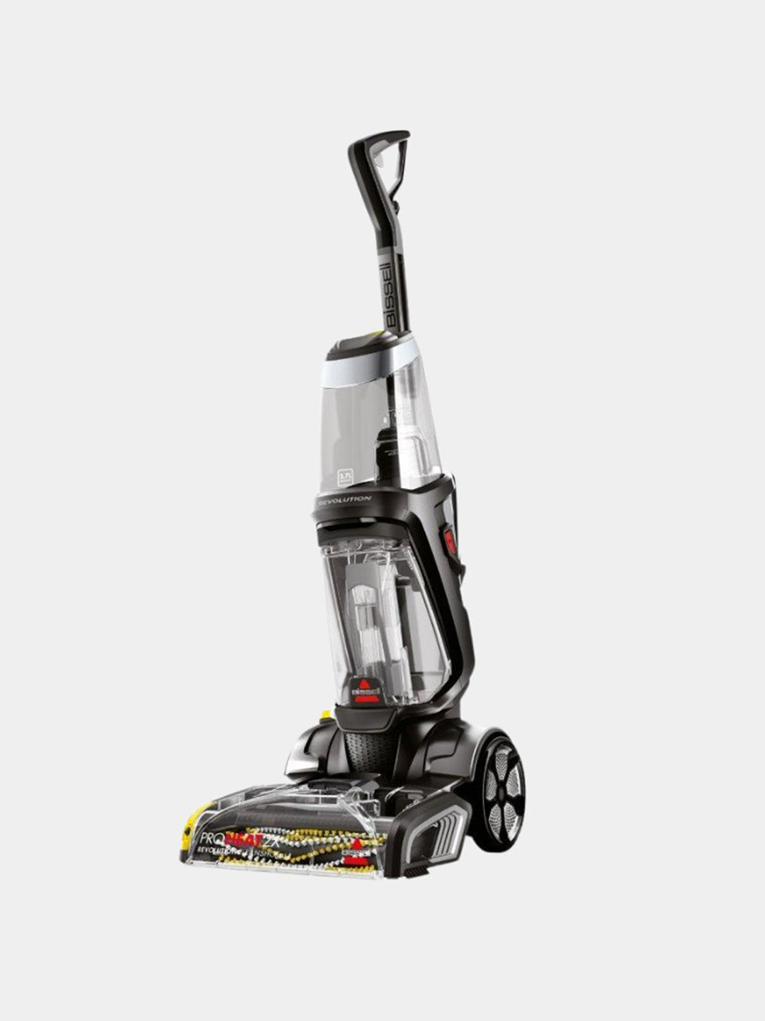 Kiyim ostidagi mushukning fotosurati