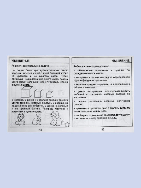 Проверяем знания дошкольника. Тесты для детей 7 лет