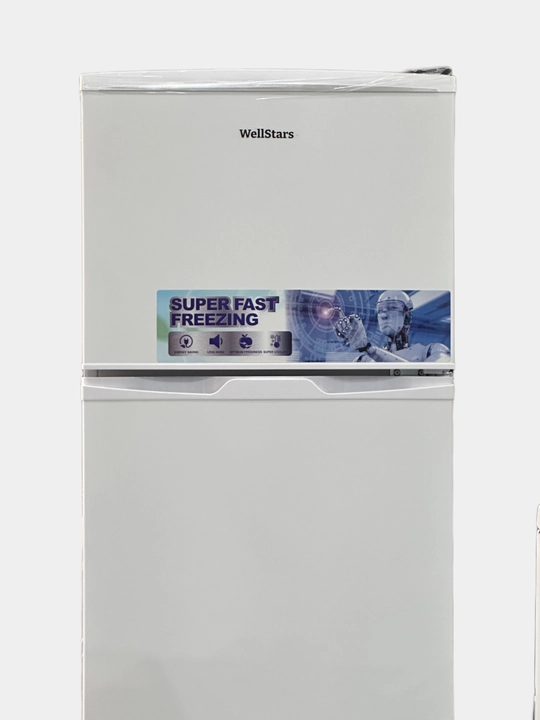 Sovutgich WellStars DeFrost, 90, 225 litr