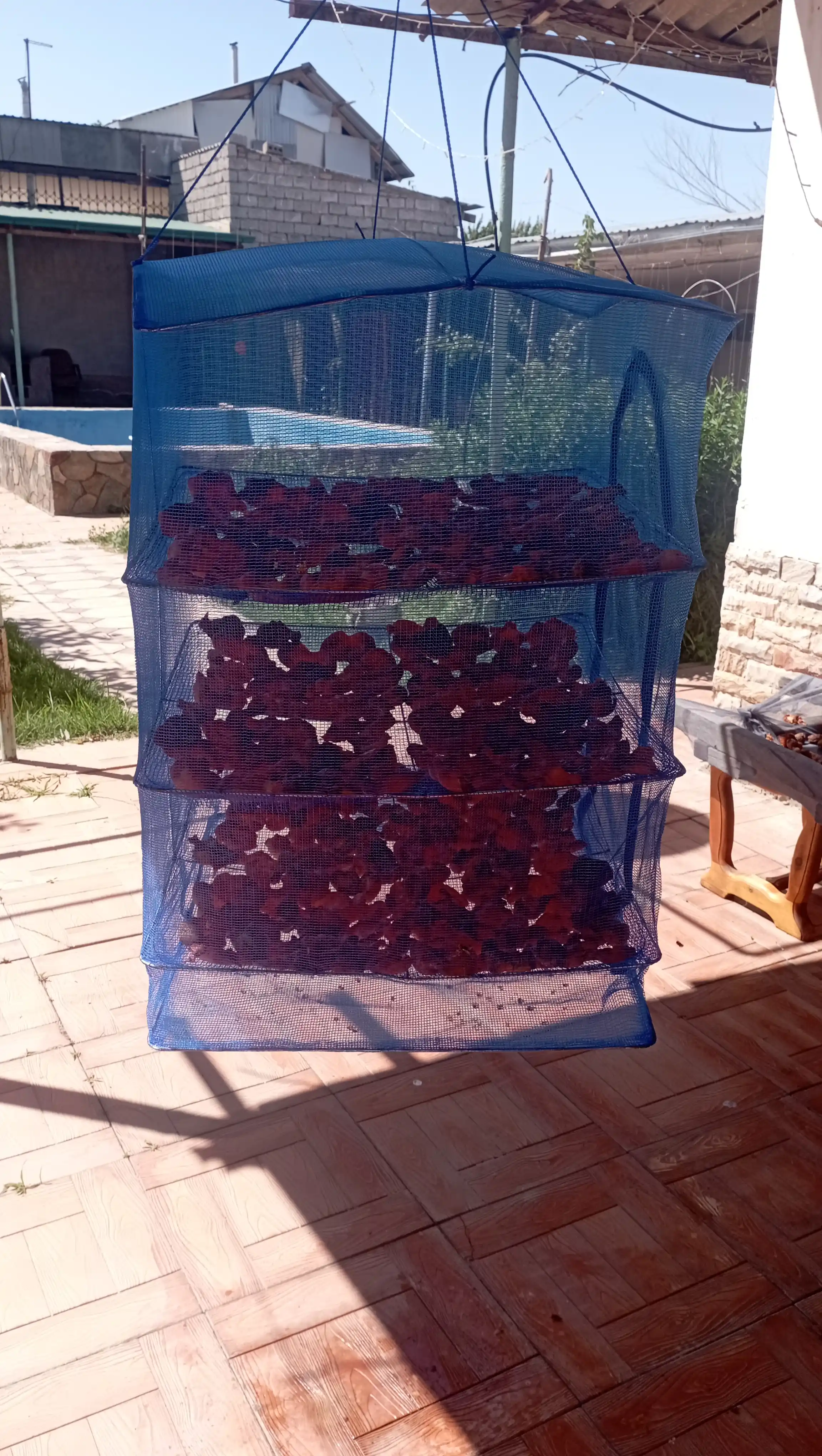 Osma to'rli quritgich, 3-darajali, yig'ma, baliq, sabzavotlar, mevalar uchun