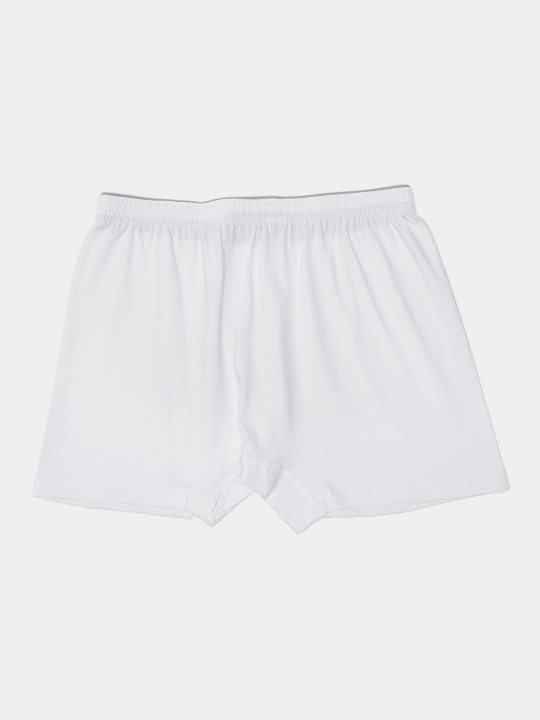 Erkaklar ichki kiyimi, 1099 madel, 5XIL rang, yumshoq 100% paxta, trusiklar, boxerlar, S–3XL
