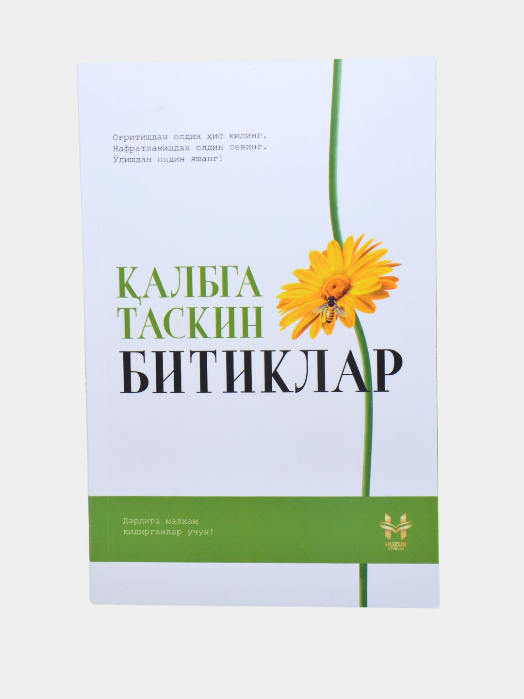 Uy bekasi va chilangar (ruscha video)