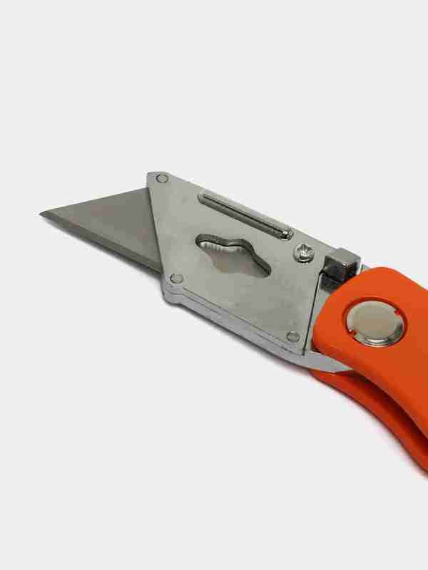 Kichkina qiz yigitning mushukini soradi