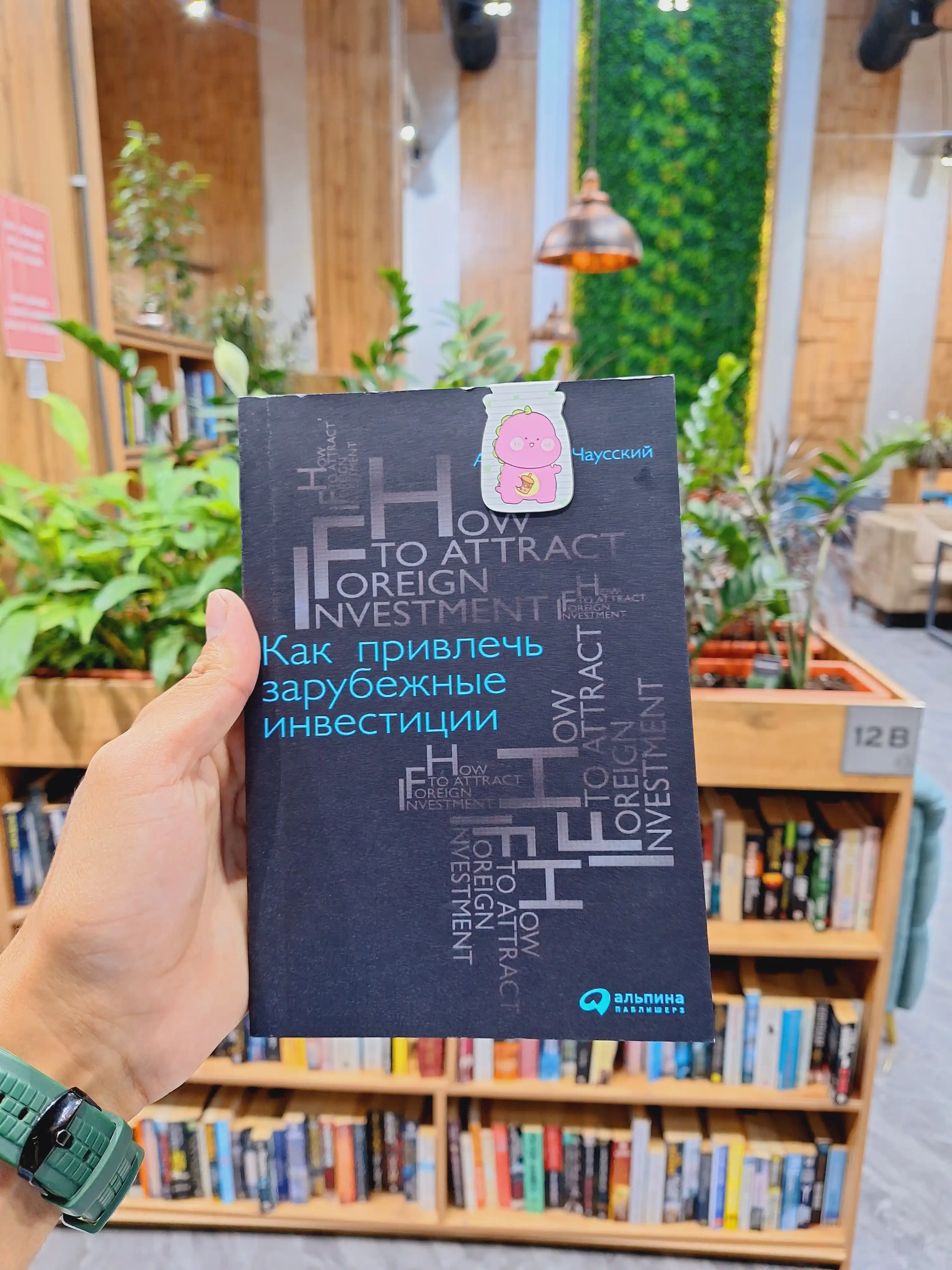 Как привлечь зарубежные инвестиции. Анатолий Чаусский. Трейдинг и Инвестиции