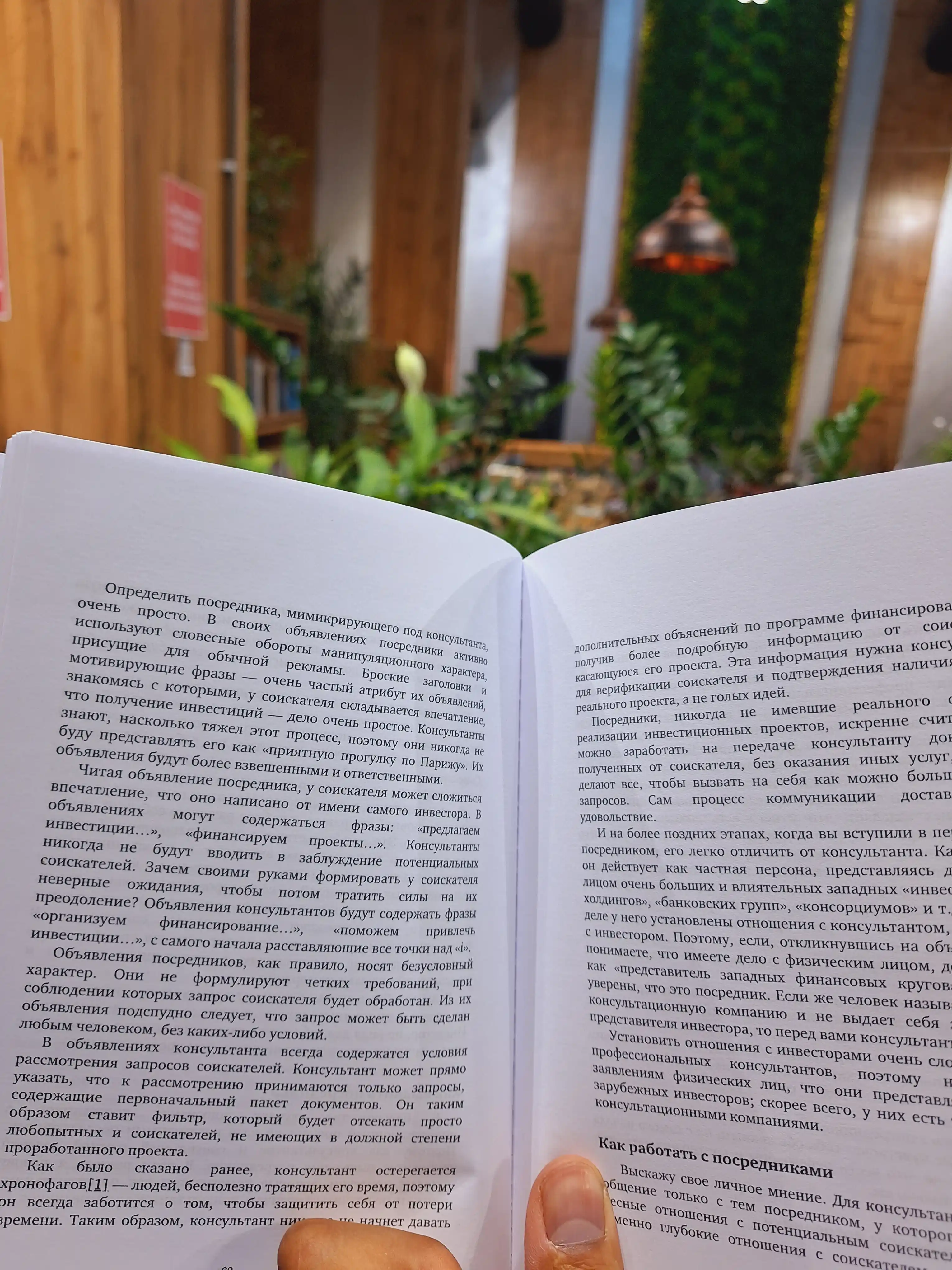 Как привлечь зарубежные инвестиции. Анатолий Чаусский. Трейдинг и Инвестиции