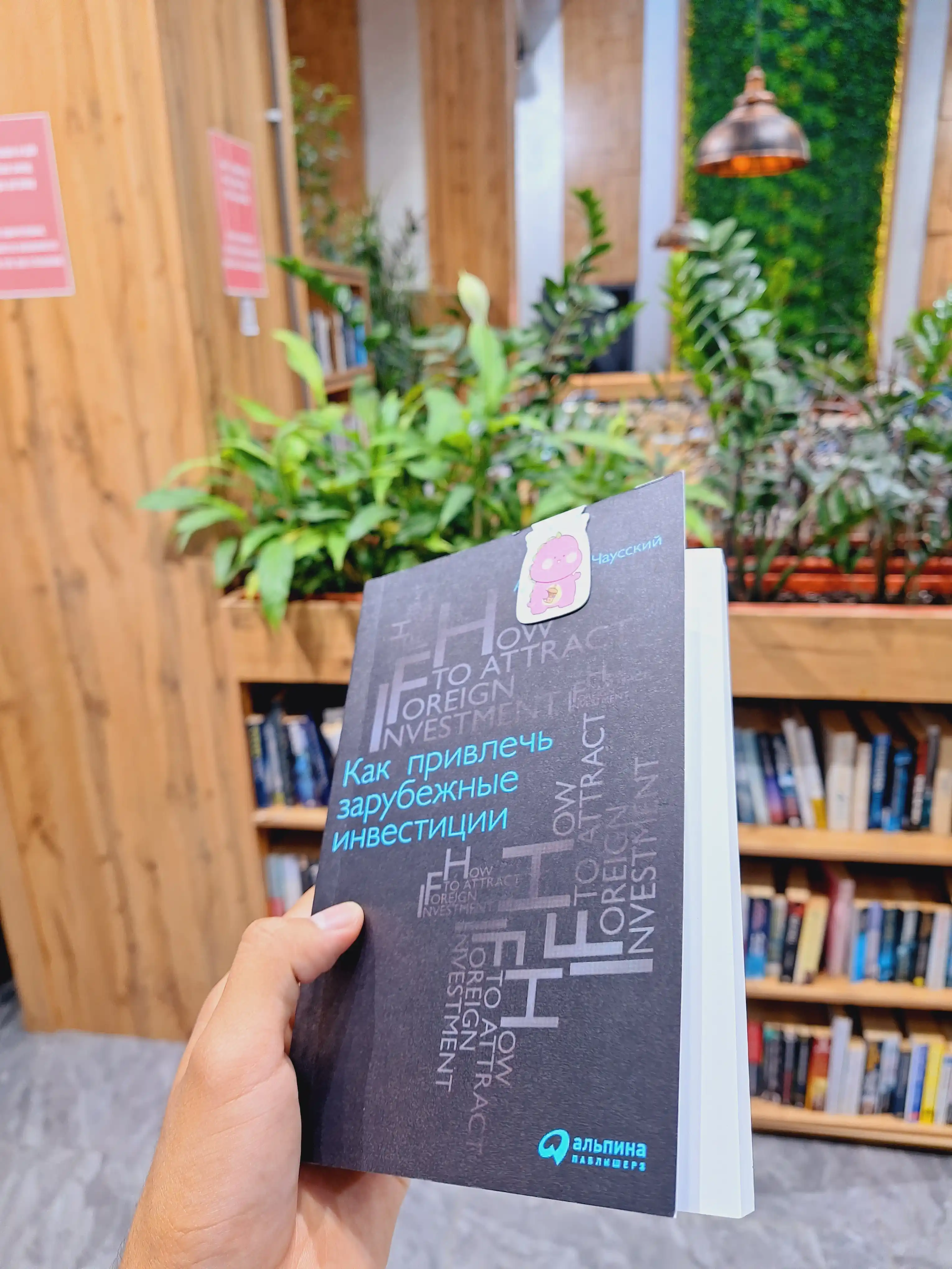 Как привлечь зарубежные инвестиции. Анатолий Чаусский. Трейдинг и Инвестиции