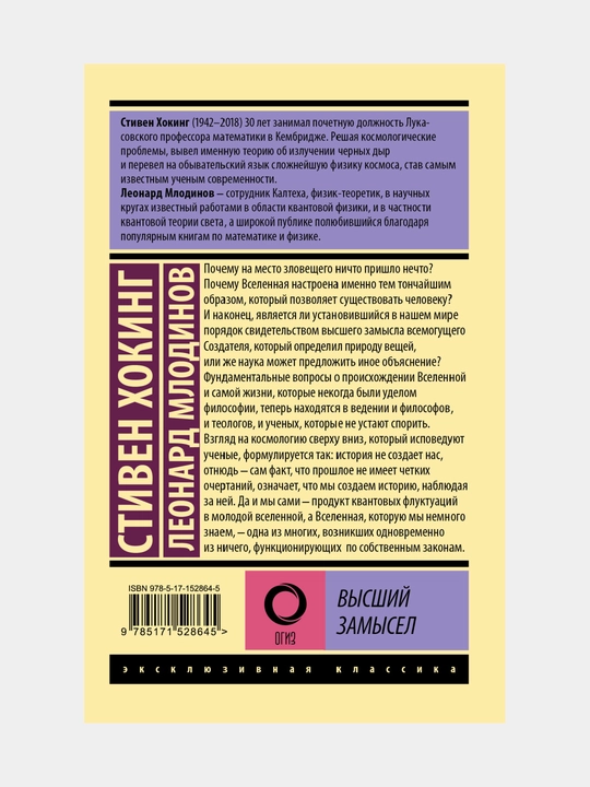 Высший замысел, Хокинг Стивен, Млодинов Леонард