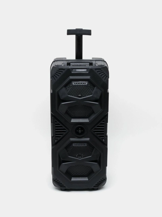 Караоке колонка Sing-e Bluetooth, ZQS8210 / ZQS8212, с беспроводным микрофоном, 72/60 см