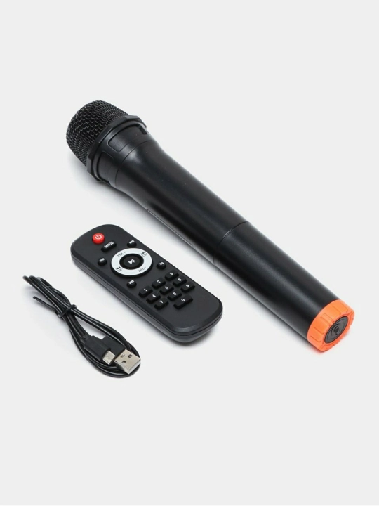 Караоке колонка Sing-e Bluetooth, ZQS8210 / ZQS8212, с беспроводным микрофоном, 72/60 см