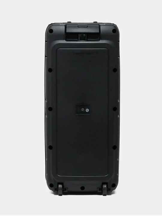 Караоке колонка Sing-e Bluetooth, ZQS8210 / ZQS8212, с беспроводным микрофоном, 72/60 см