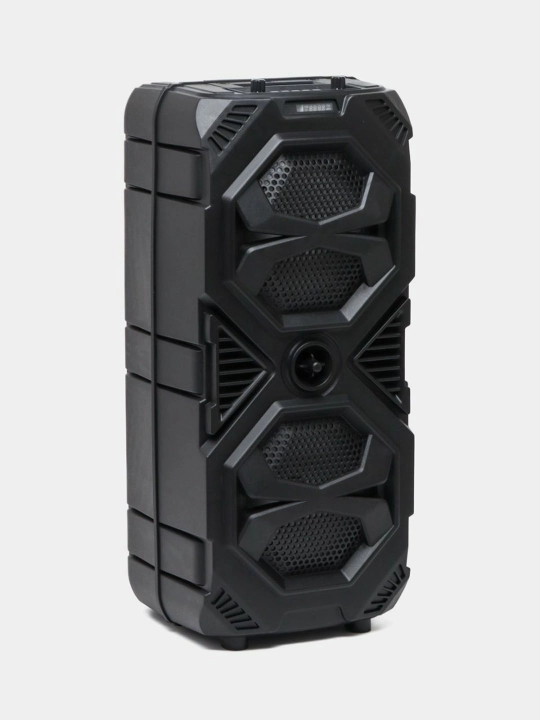 Караоке колонка Sing-e Bluetooth, ZQS8210 / ZQS8212, с беспроводным микрофоном, 72/60 см