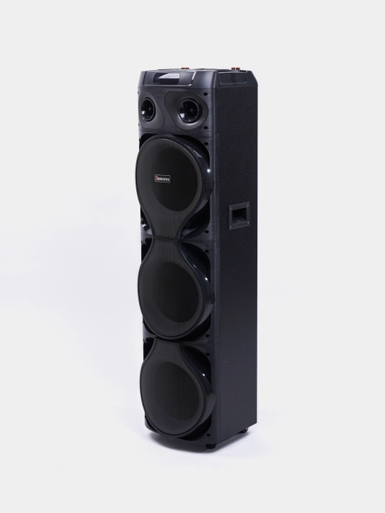 Akustik tizimi Bluetooth kolonka Bohong Mt1222, 2 ta mikrofon bilan, 145 sm - 