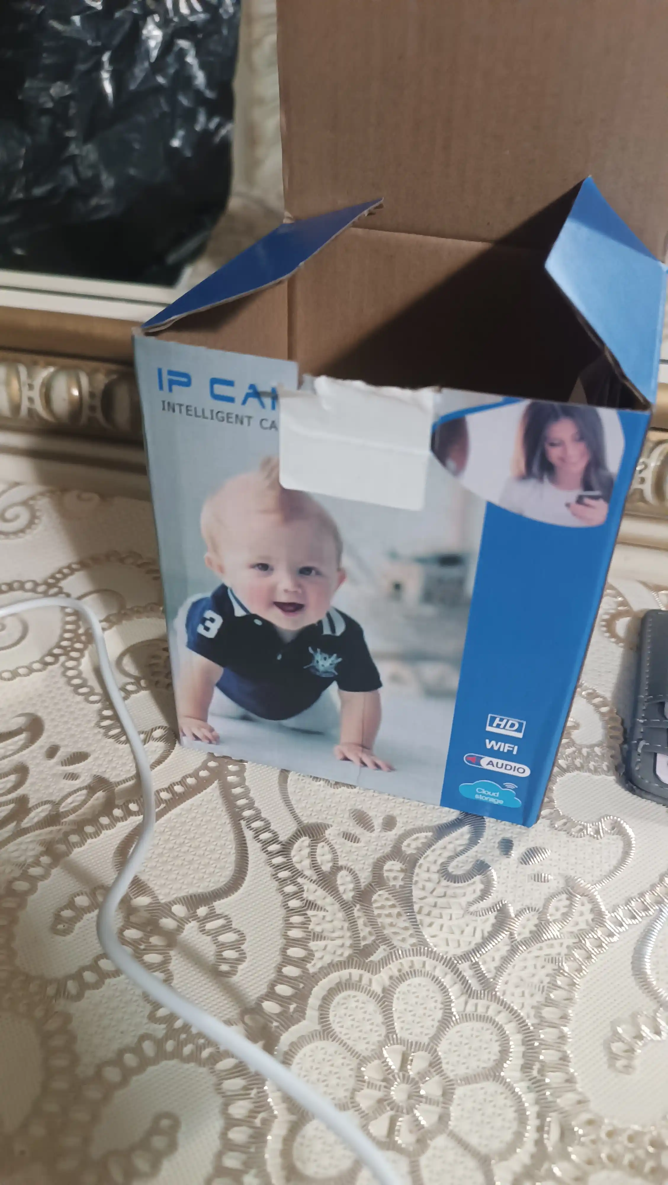Камера IP видеонаблюдения PTZ 360 WiFi ICSee