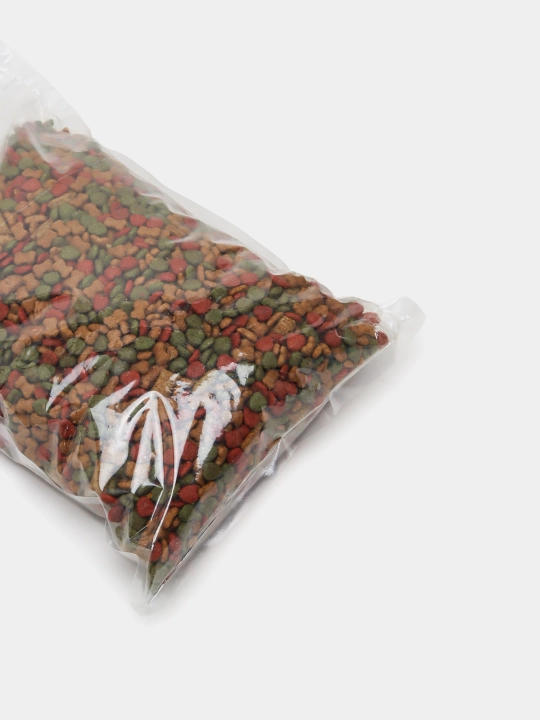 10 haftadan boshlab barcha zotlarning mushuklari uchun quruq oziq-ovqat, 1 kg