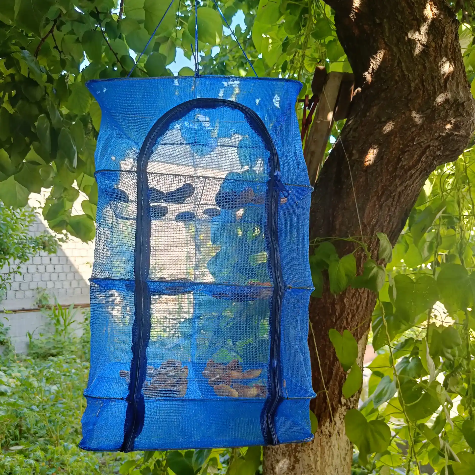 Osma to'rli quritgich, 3-darajali, yig'ma, baliq, sabzavotlar, mevalar uchun