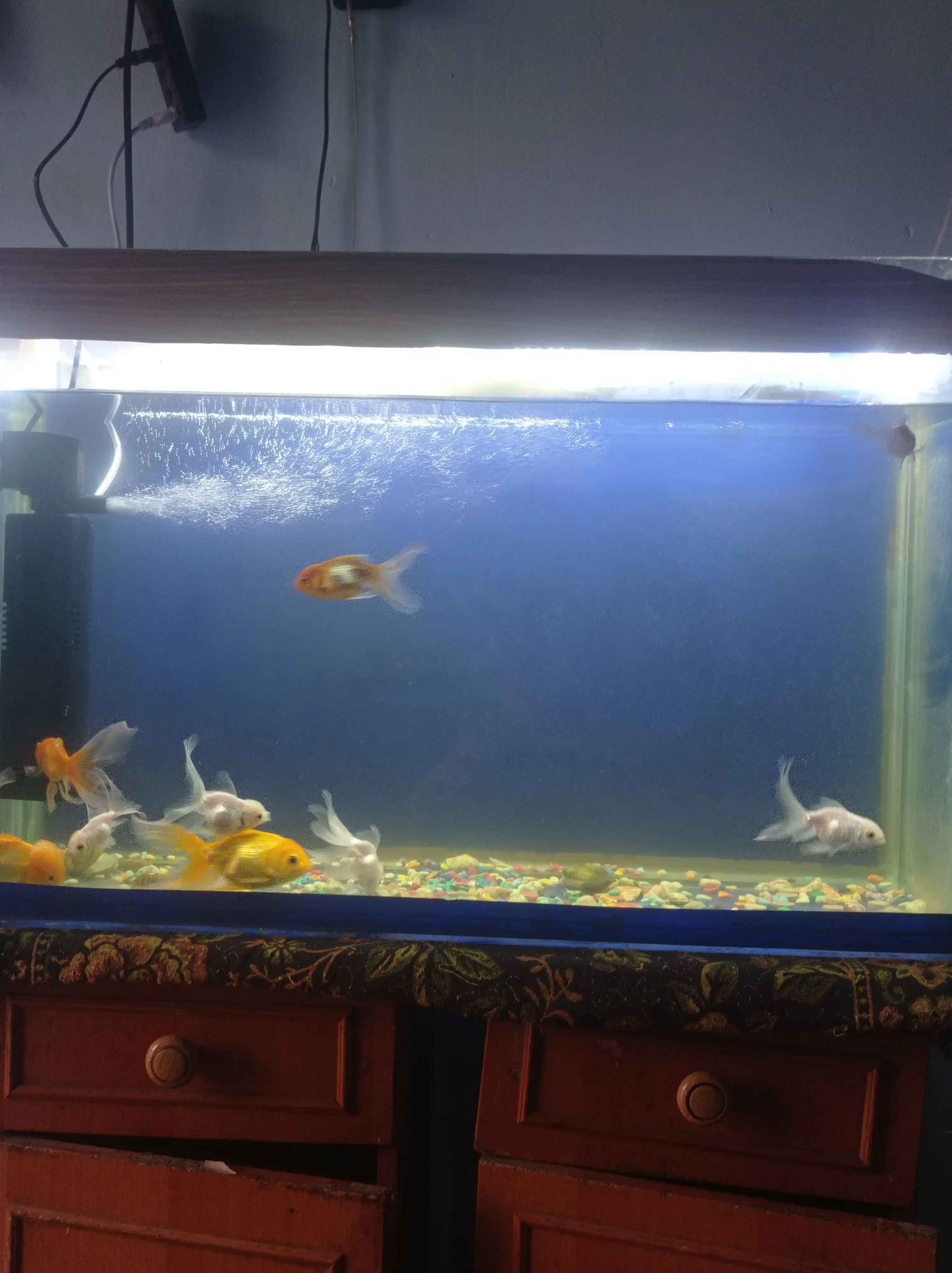 Ichki filtr Sobo WP-2000F