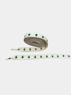 Oq