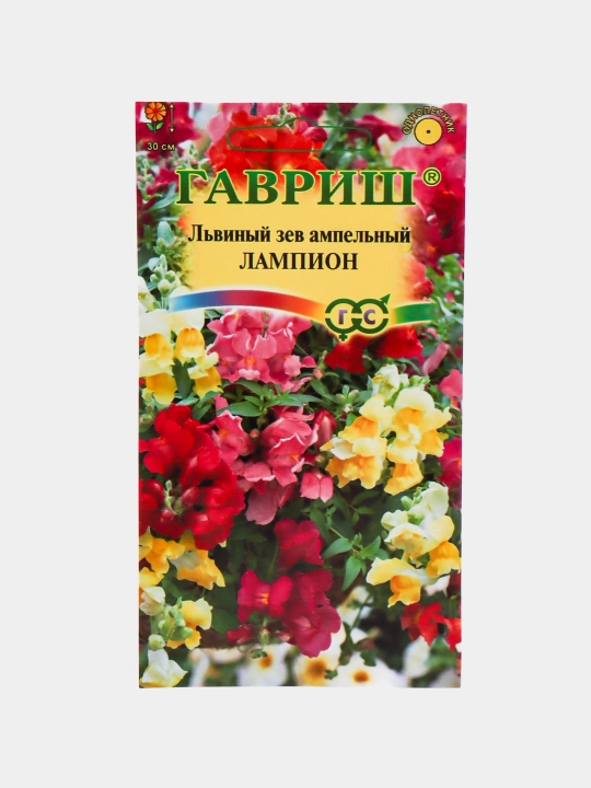 Gul urug'lari Delfinium, Koxiya, Petunya, Vasilyok va boshqalar