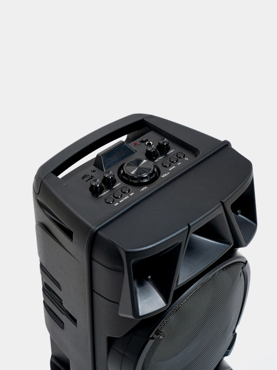Караоке колонка Sing-e Bluetooth, ZQS8210 / ZQS8212, с беспроводным микрофоном, 72/60 см