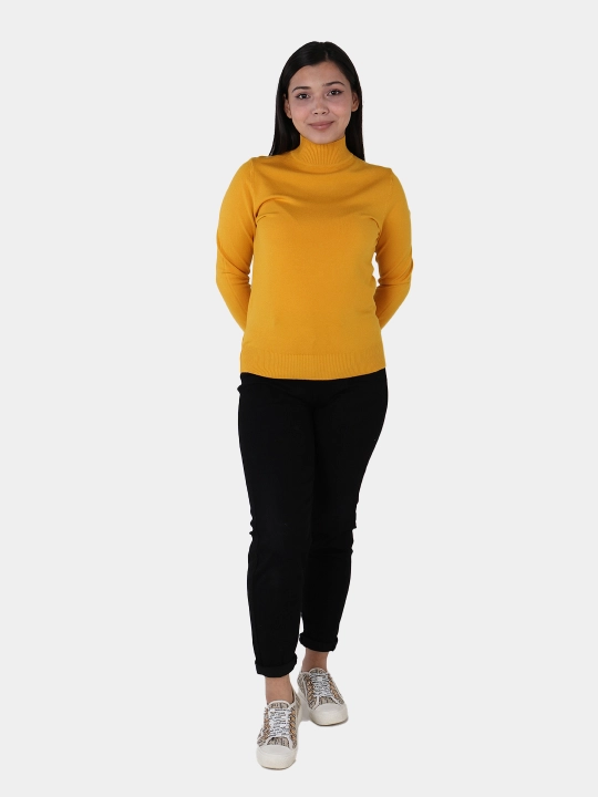 Ayollar vodolazka-amerikanka – angora