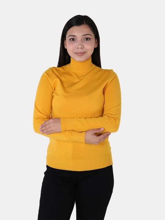 Ayollar vodolazka-amerikanka – angora