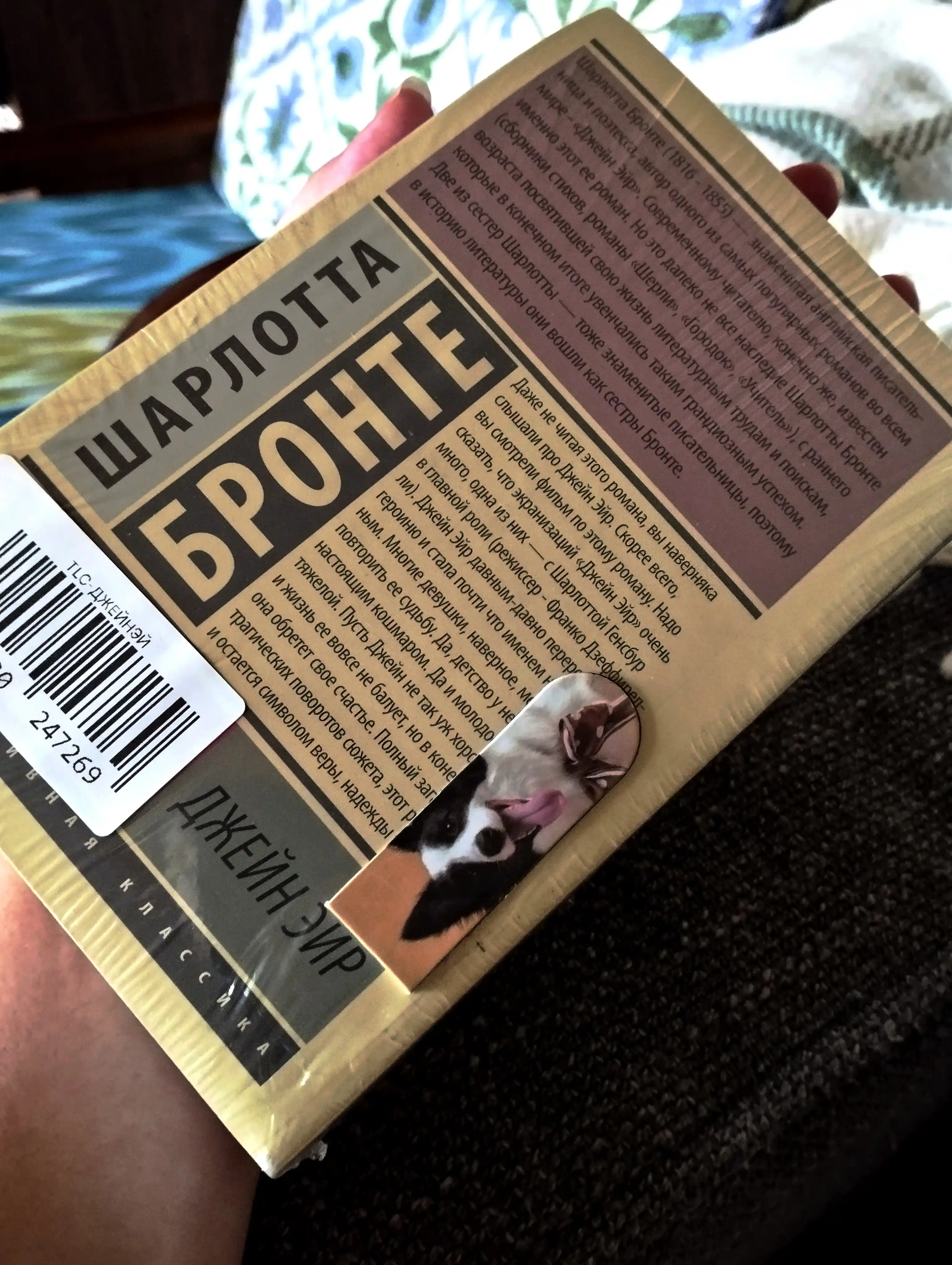 Dzheyn Eyr, Sharlotta Bronte