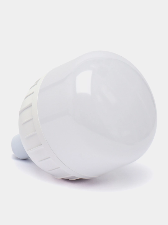 LED chiroq Lezard, 40-50 Vt, 6400K E27