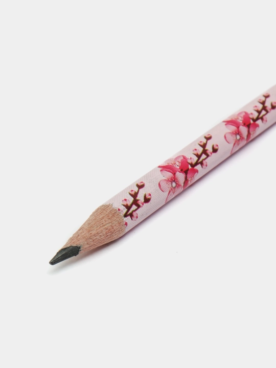 Черный карандаш ,ADEL Sakura blacklead pencils, 2B, FSC, 2061000023000