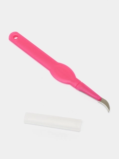 Pushti