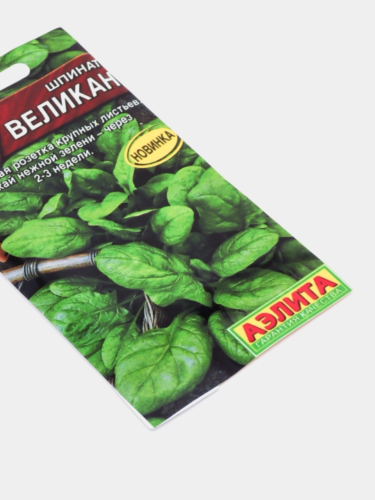 Семена зелени, шпинат