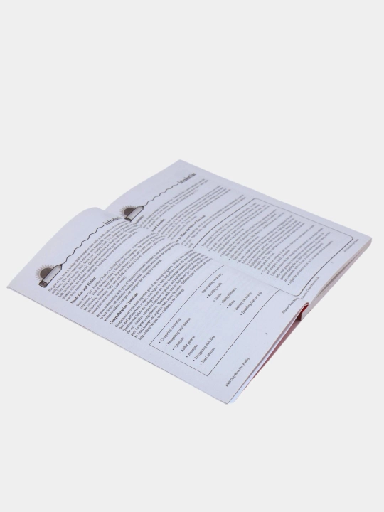 Daily Warm-Ups Reading — Grade 1, 2 yoki 3, inglizcha matnlarni tushunish mashqlari
