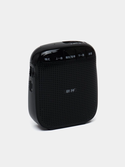 10W, usb, bluetooth ma'ruzalari, guruh darslari uchun mikrofon bilan kolonka - 